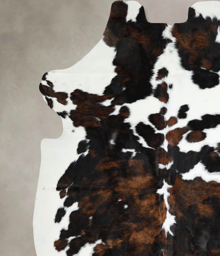 Tricolor X-Large European Cowhide Rug 6'11"H x 6'6"W #A40829 by Hudson Hides