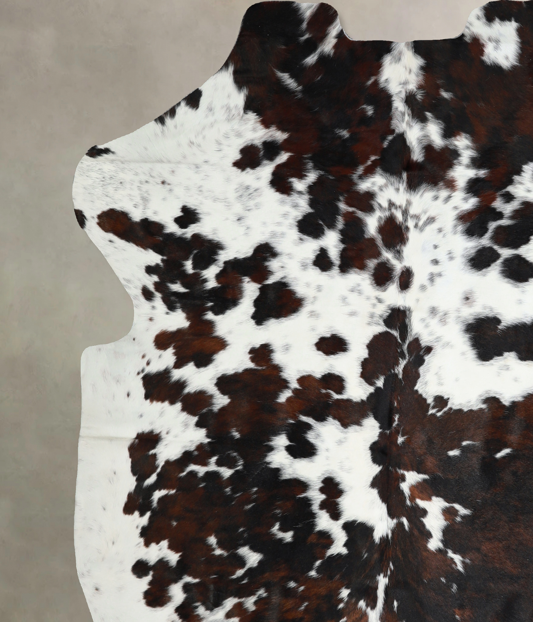 Tricolor Cowhide Rug #A40830
