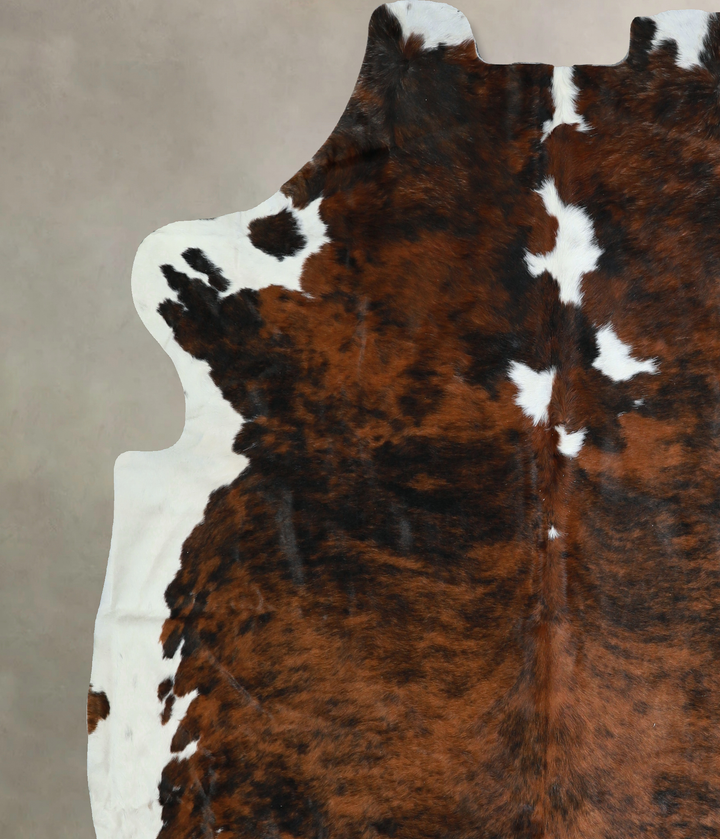 Tricolor X-Large European Cowhide Rug 7'2"H x 6'10"W #A40831 by Hudson Hides