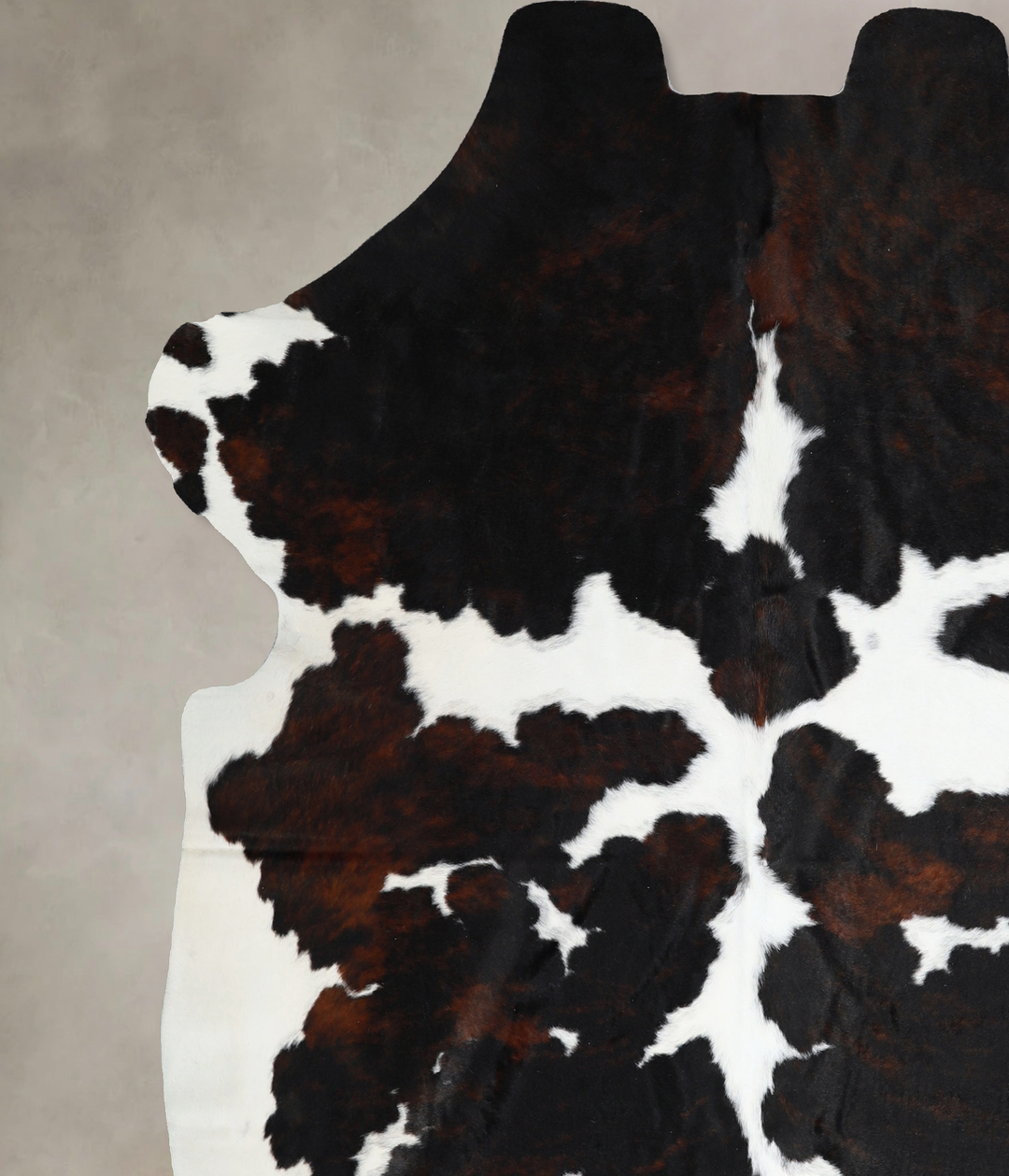 Tricolor X-Large European Cowhide Rug 6'11"H x 6'8"W #A40832 by Hudson
