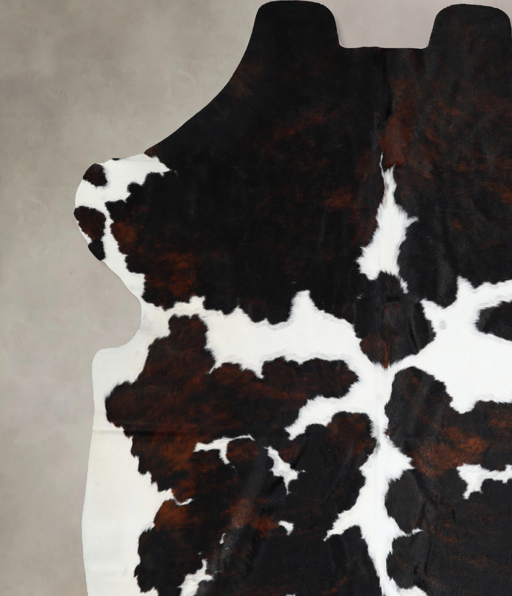 Tricolor X-Large European Cowhide Rug 6'11"H x 6'8"W #A40832 by Hudson Hides