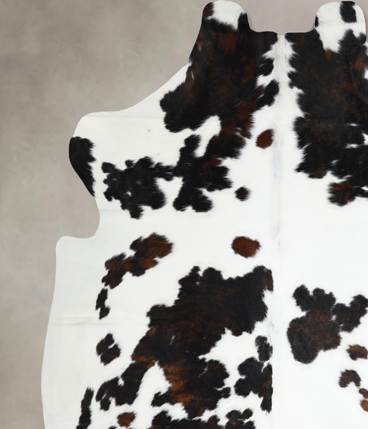 Tricolor X-Large European Cowhide Rug 6'10"H x 6'5"W #A40833 by Hudson Hides