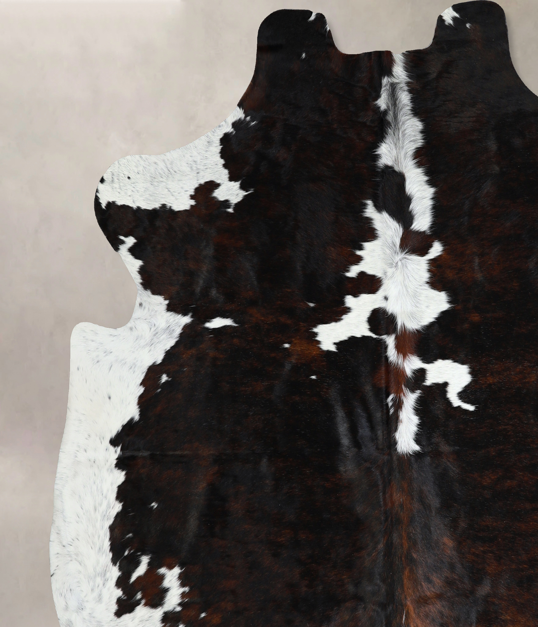 Tricolor X-Large European Cowhide Rug 7'2"H x 7'0"W #A40834 by Hudson 