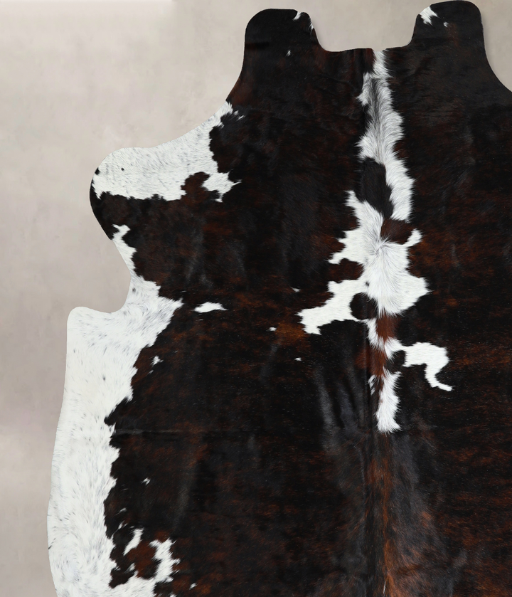 Tricolor X-Large European Cowhide Rug 7'2"H x 7'0"W #A40834 by Hudson Hides