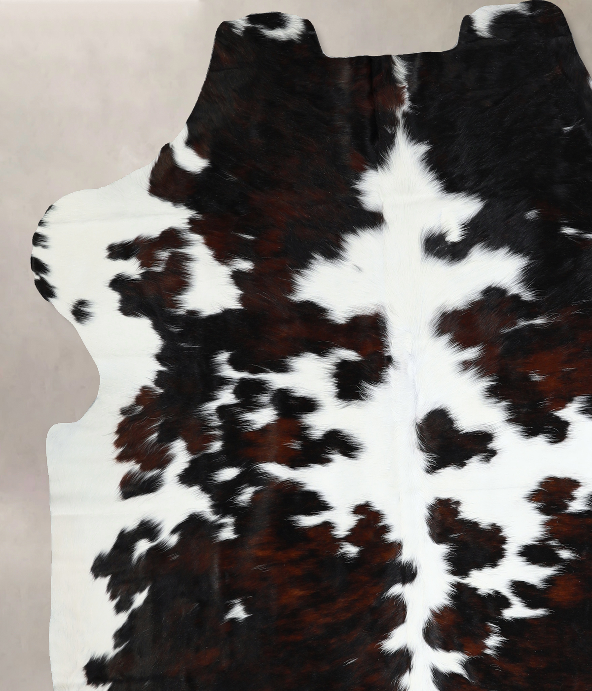 Tricolor X-Large European Cowhide Rug 7'3"H x 6'7"W #A40835 by Hudson Hides