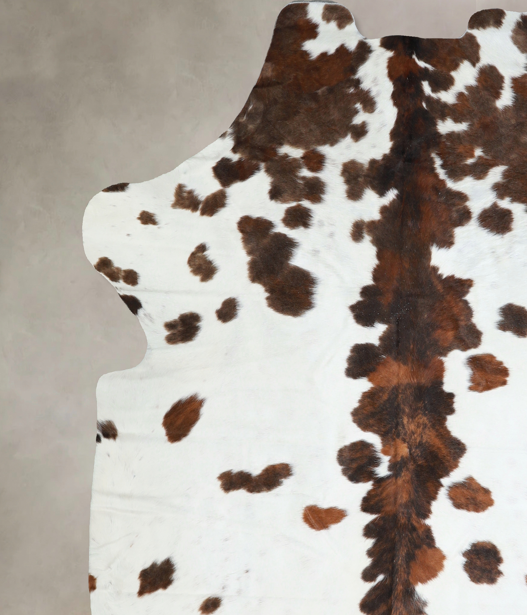 Tricolor X-Large European Cowhide Rug 6'11"H x 6'7"W #A40836 by Hudson