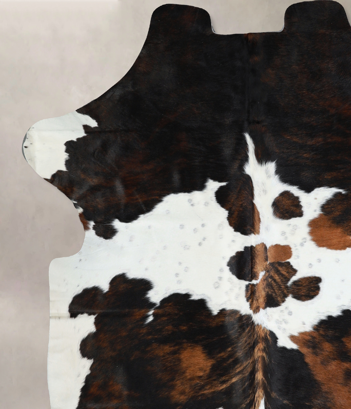 Tricolor X-Large European Cowhide Rug 7'2"H x 6'7"W #A40837 by Hudson Hides