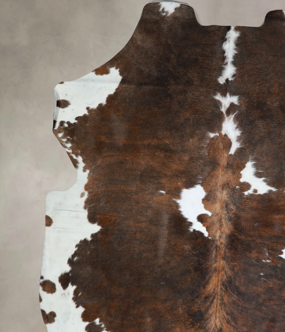 Tricolor X-Large European Cowhide Rug 7'4"H x 6'9"W #A40838 by Hudson 