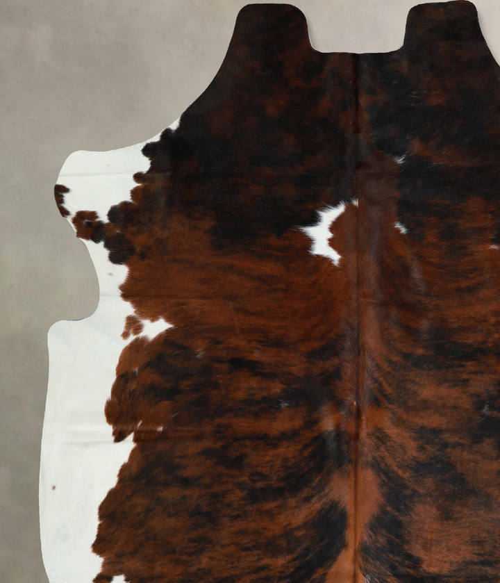 Tricolor X-Large European Cowhide Rug 6'10"H x 6'5"W #A40839 by Hudson Hides