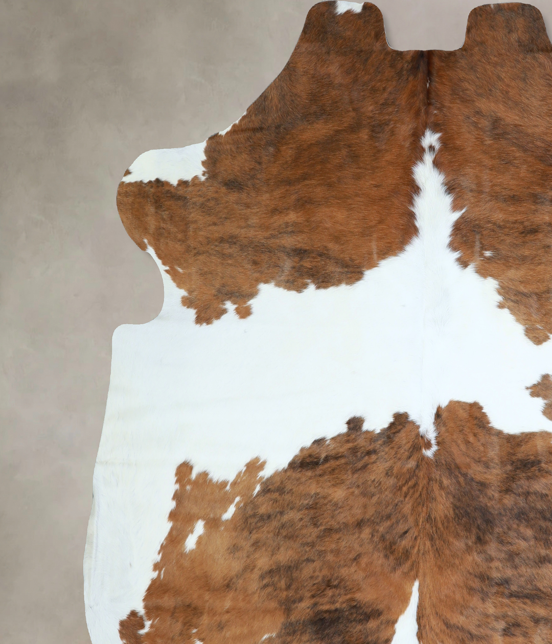 Tricolor X-Large European Cowhide Rug 7'2"H x 6'11"W #A40840 by Hudson