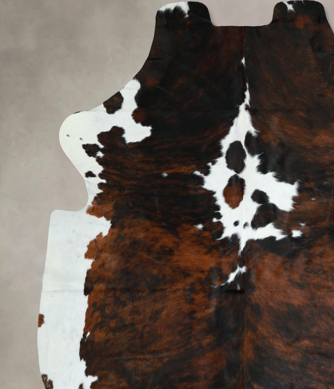Tricolor X-Large European Cowhide Rug 7'1"H x 6'3"W #A40856 by Hudson 