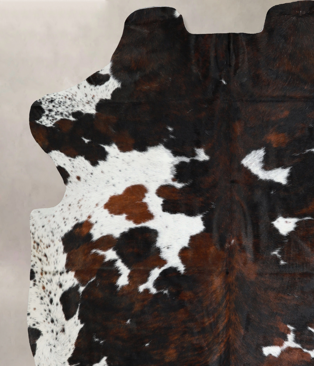 Tricolor X-Large European Cowhide Rug 6'9"H x 6'0"W #A40857 by Hudson 