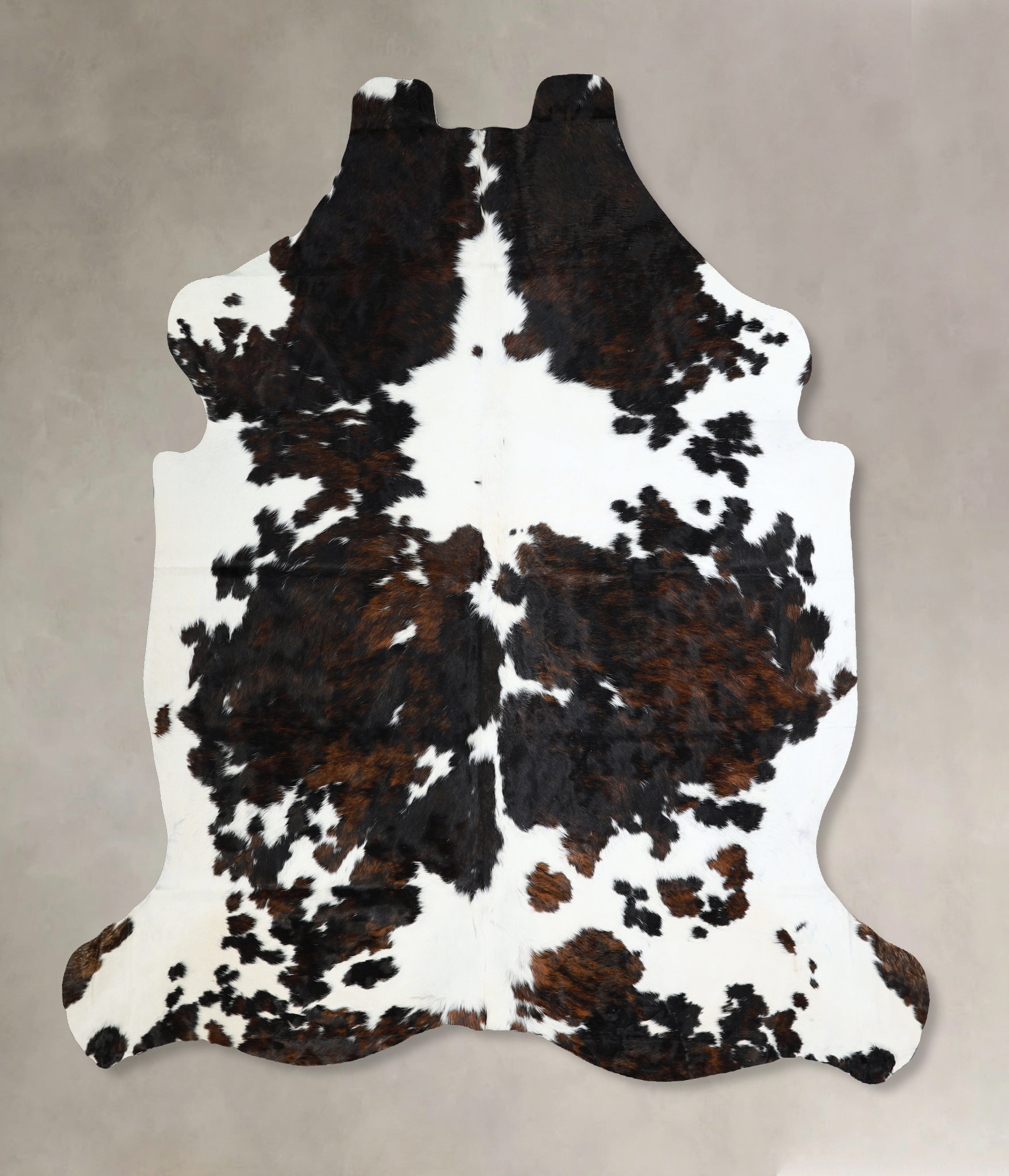 Tricolor Cowhide Rug #A40858