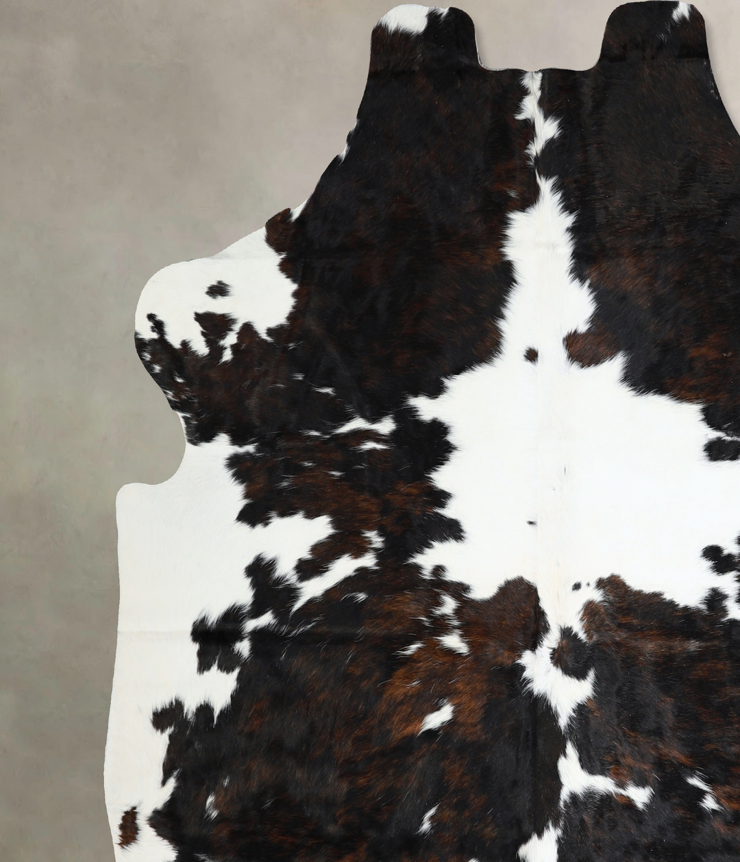 Tricolor X-Large European Cowhide Rug 7'1"H x 6'8"W #A40858 by Hudson 