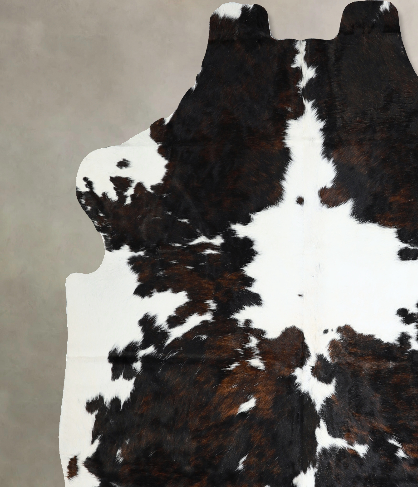 Tricolor Cowhide Rug #A40858