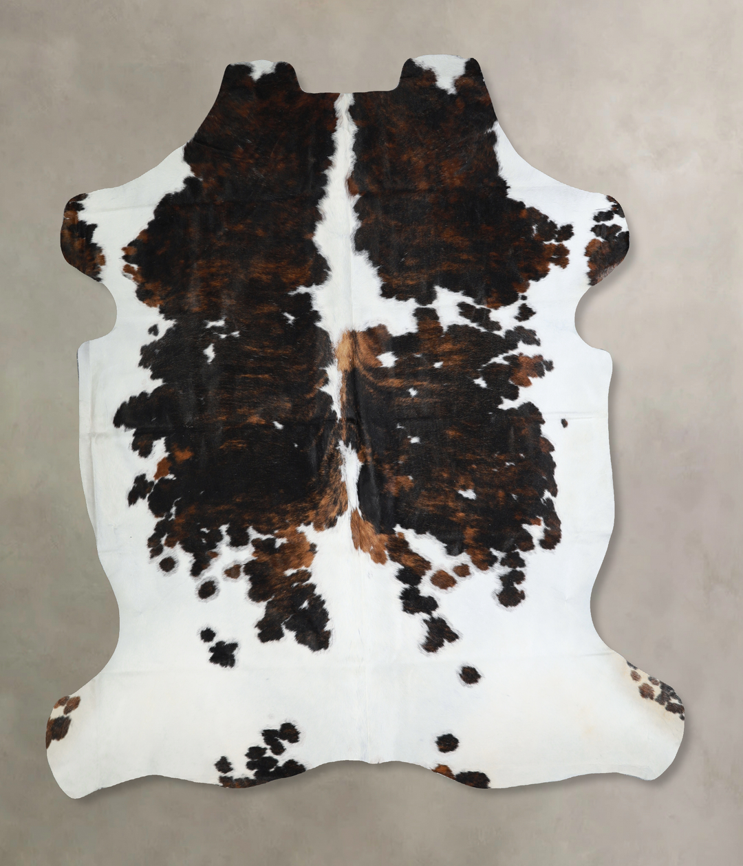 Tricolor X-Large European Cowhide Rug 7'0"H x 6'9"W #A40860 by Hudson 