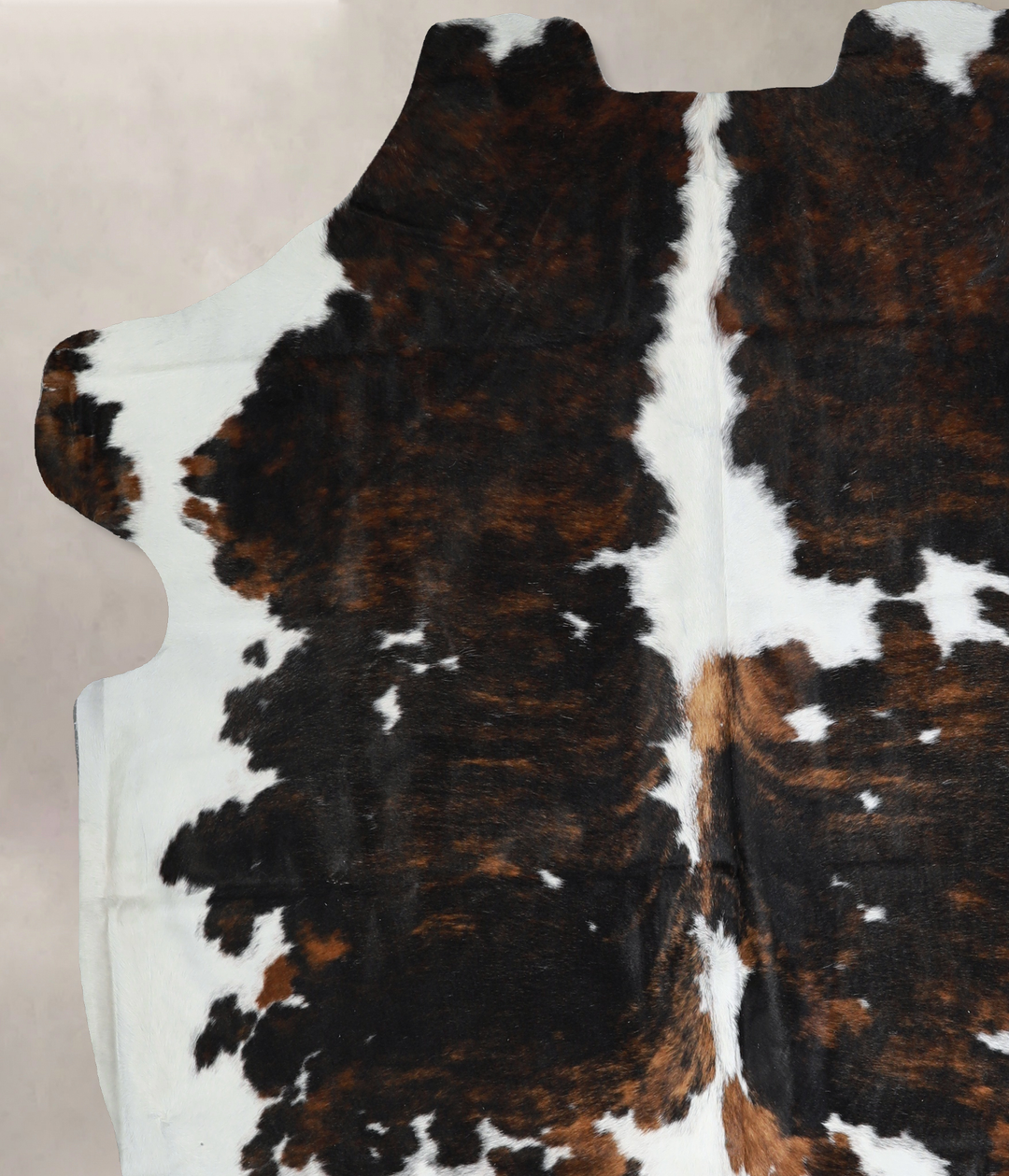 Tricolor X-Large European Cowhide Rug 7'0"H x 6'9"W #A40860 by Hudson 
