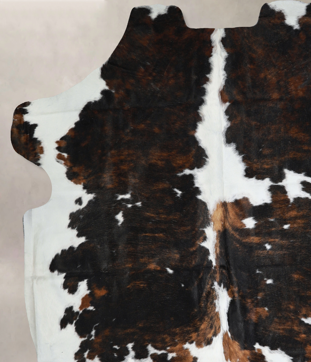 Tricolor X-Large European Cowhide Rug 7'0"H x 6'9"W #A40860 by Hudson Hides