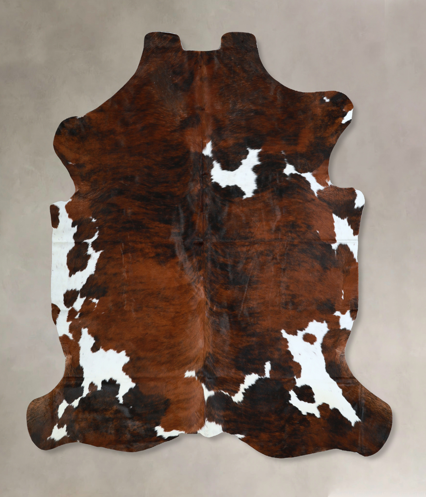 Tricolor X-Large European Cowhide Rug 6'8"H x 6'2"W #A40861 by Hudson Hides