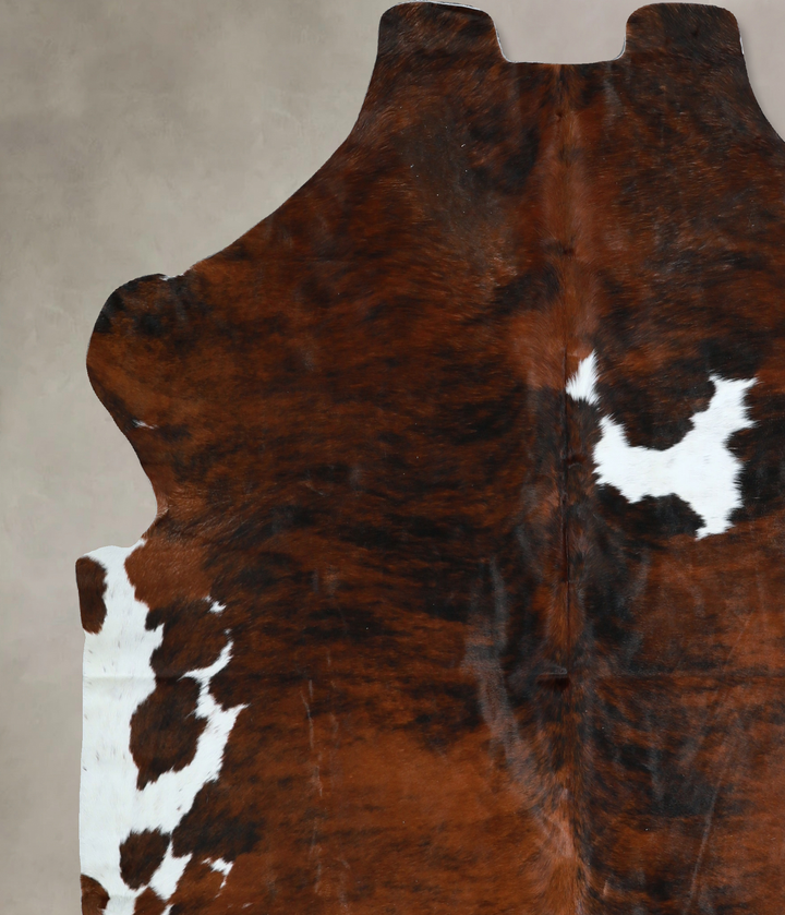 Tricolor X-Large European Cowhide Rug 6'8"H x 6'2"W #A40861 by Hudson Hides