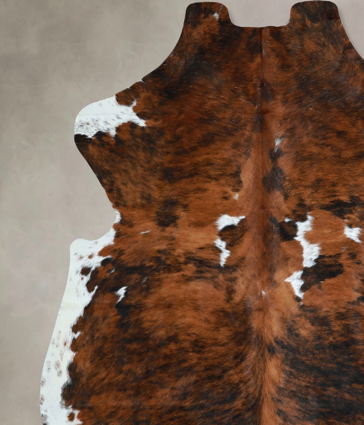 Tricolor X-Large European Cowhide Rug 6'11"H x 6'6"W #A40862 by Hudson Hides