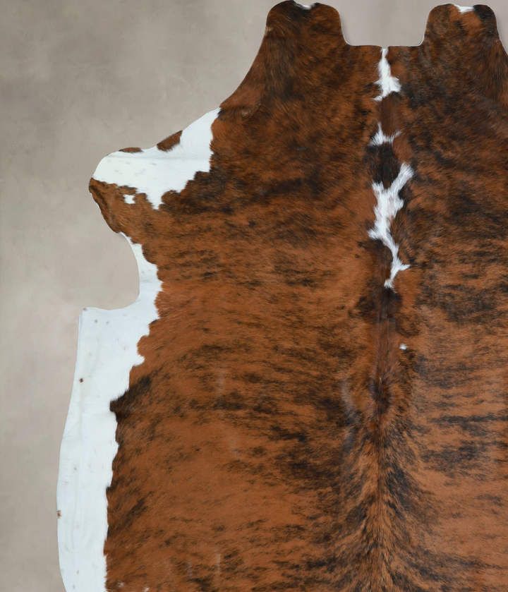 Tricolor X-Large European Cowhide Rug 6'11"H x 6'8"W #A40865 by Hudson Hides
