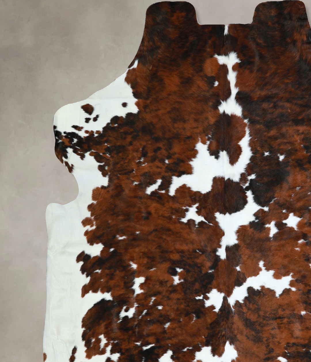 Tricolor X-Large European Cowhide Rug 6'11"H x 7'1"W #A40866 by Hudson