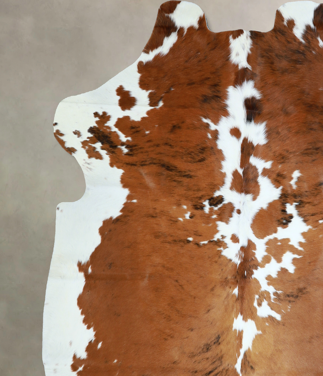 Tricolor X-Large European Cowhide Rug 6'6"H x 6'4"W #A40867 by Hudson 