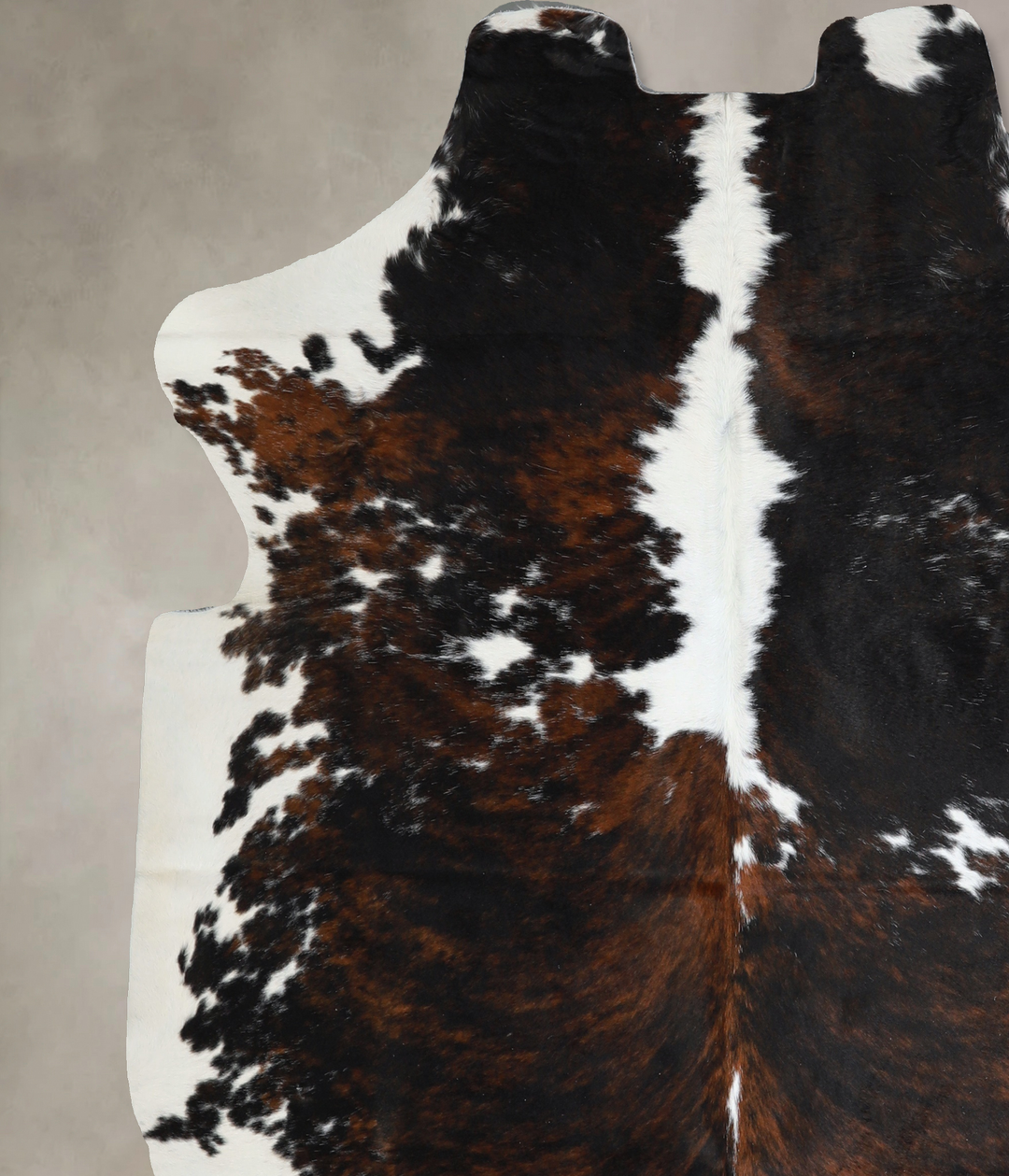 Tricolor X-Large European Cowhide Rug 6'7"H x 6'3"W #A40868 by Hudson 