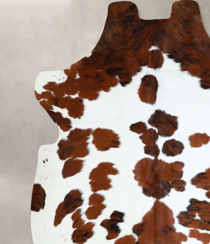 Tricolor X-Large European Cowhide Rug 6'7"H x 6'4"W #A40869 by Hudson Hides