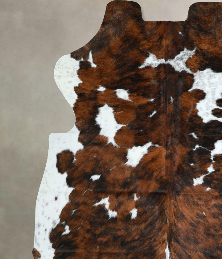 Tricolor X-Large European Cowhide Rug 6'8"H x 6'8"W #A40870 by Hudson Hides
