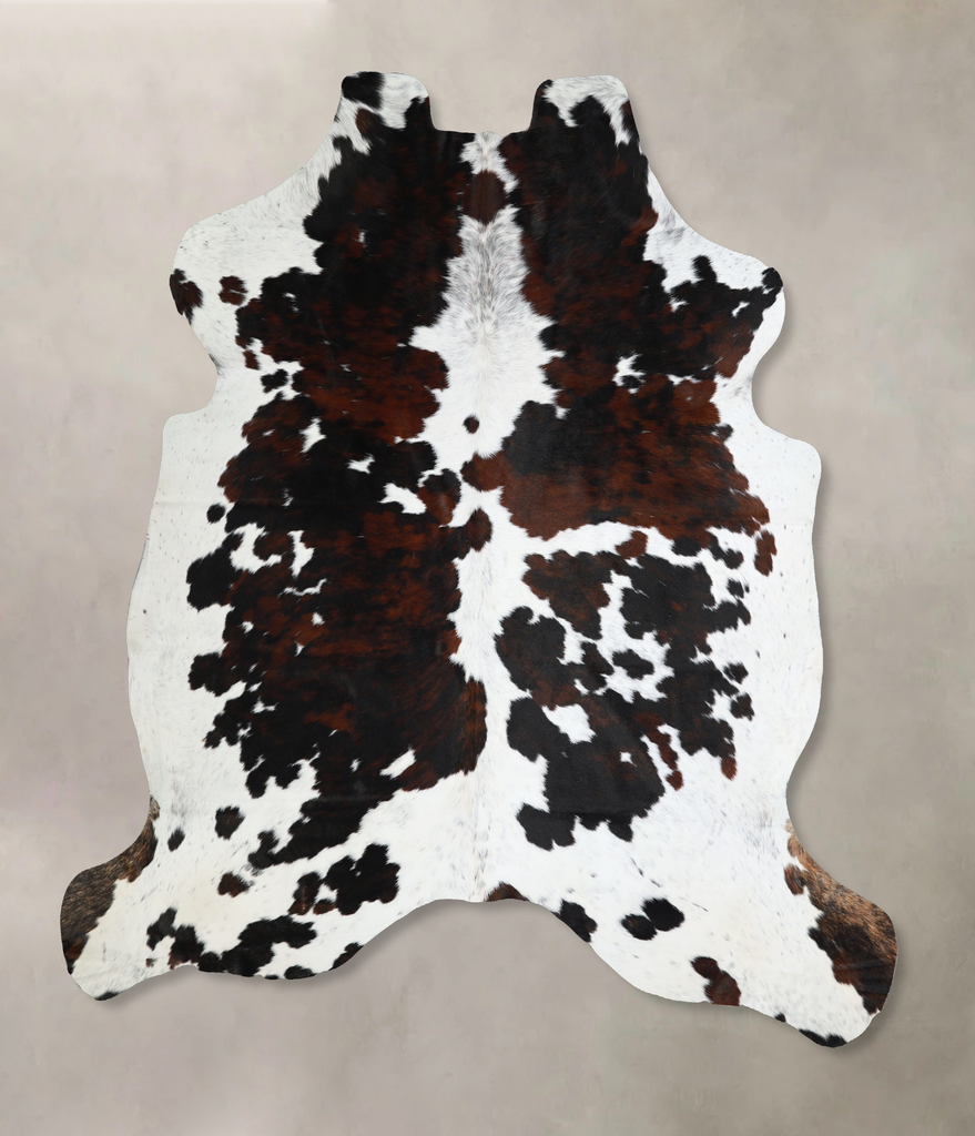 Tricolor X-Large European Cowhide Rug 6'8"H x 6'7"W #A40873 by Hudson Hides