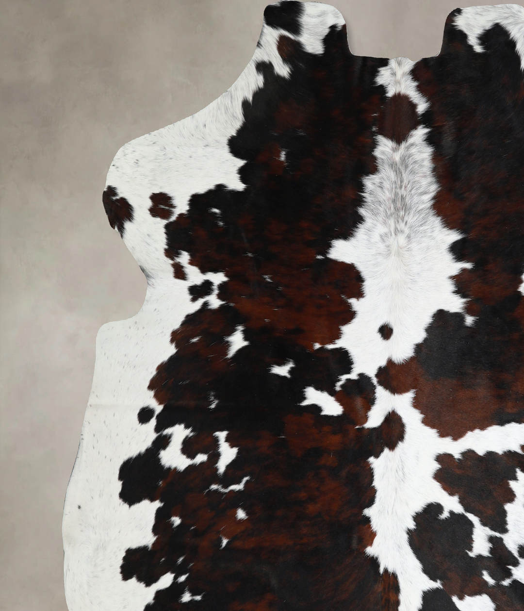 Tricolor X-Large European Cowhide Rug 6'8"H x 6'7"W #A40873 by Hudson 