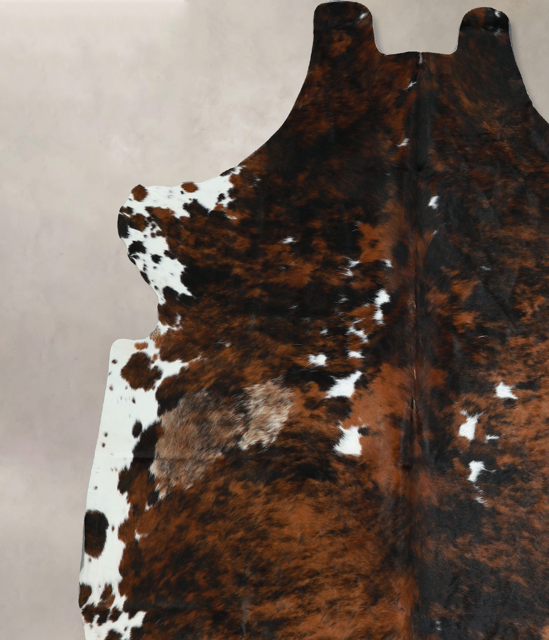 Tricolor X-Large European Cowhide Rug 6'6"H x 6'4"W #A40875 by Hudson 