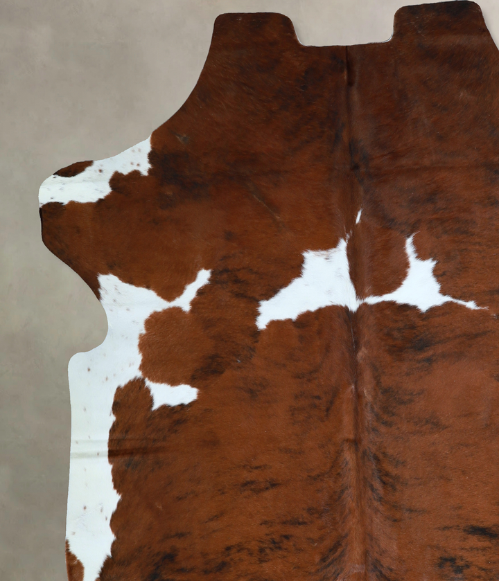 Tricolor X-Large European Cowhide Rug 7'3"H x 6'9"W #A40877 by Hudson Hides