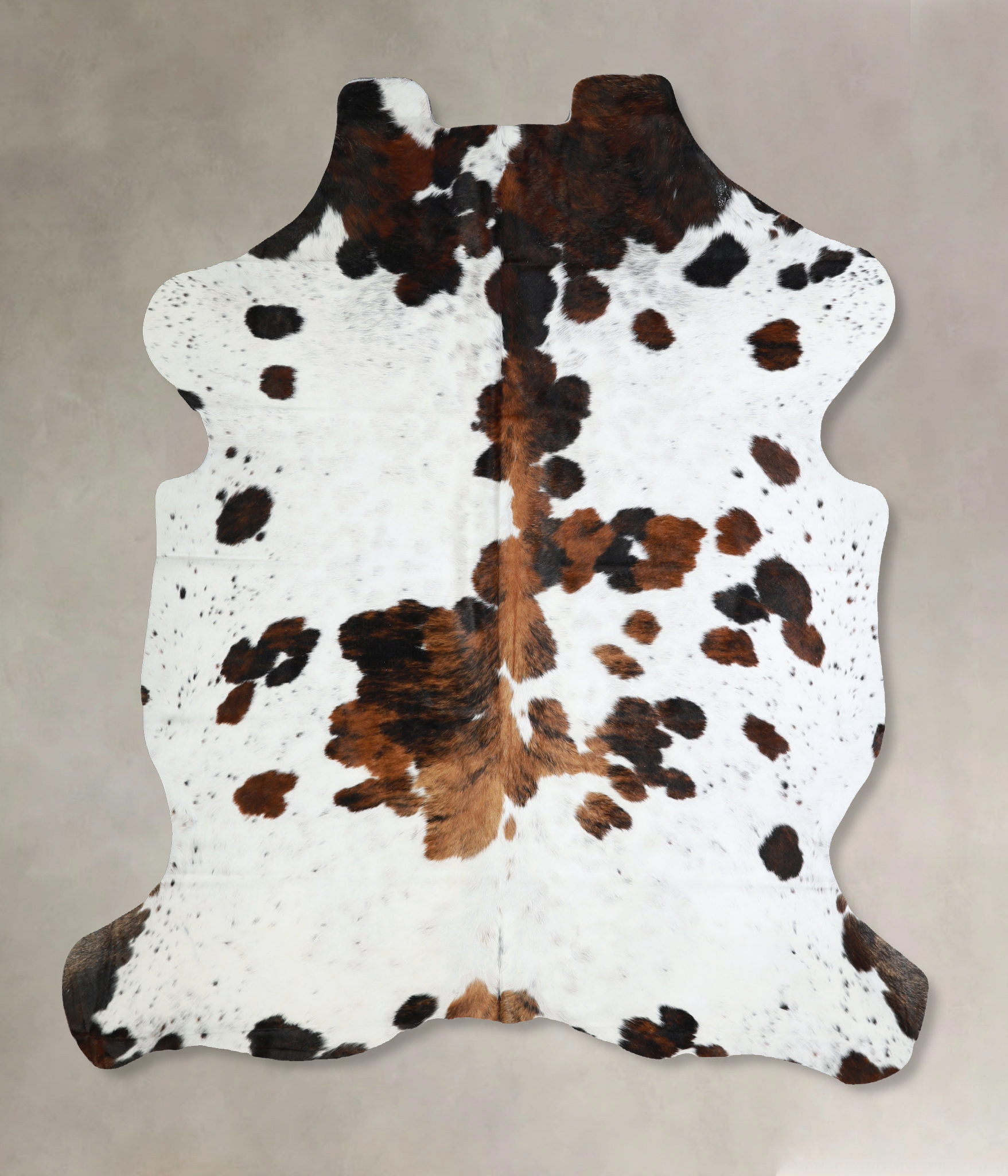 Tricolor Cowhide Rug #A40878
