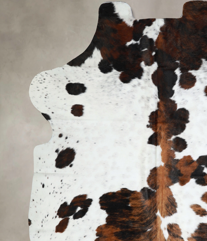 Tricolor X-Large European Cowhide Rug 7'0"H x 6'1"W #A40878 by Hudson Hides