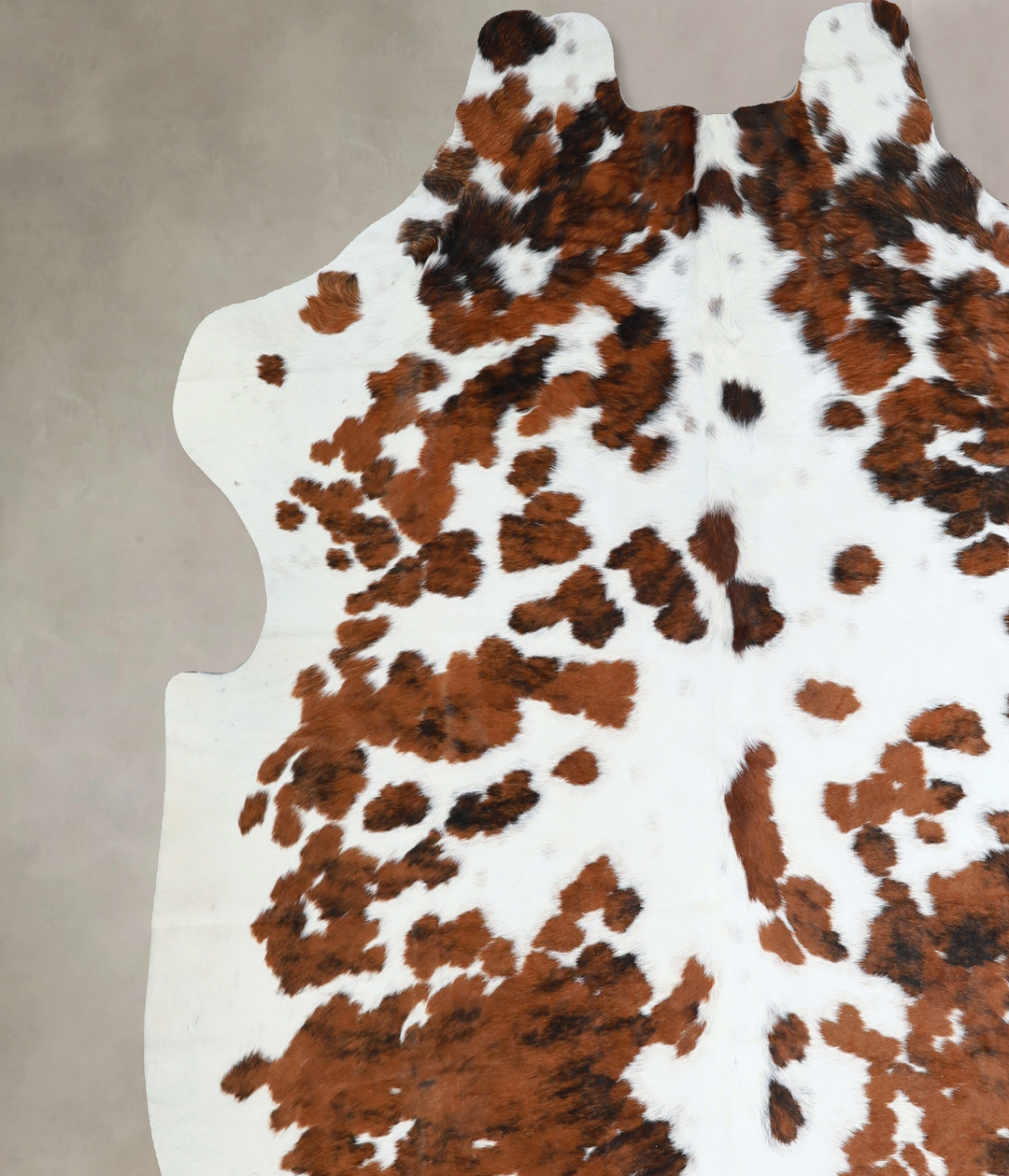 Tricolor X-Large European Cowhide Rug 6'11"H x 6'9"W #A40881 by Hudson