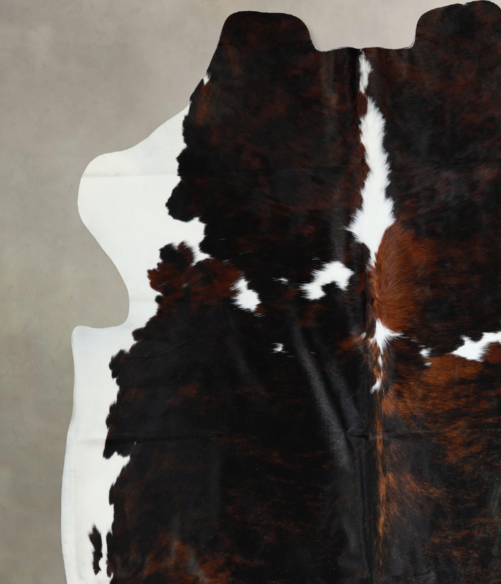 Tricolor X-Large European Cowhide Rug 6'11"H x 6'9"W #A40883 by Hudson Hides