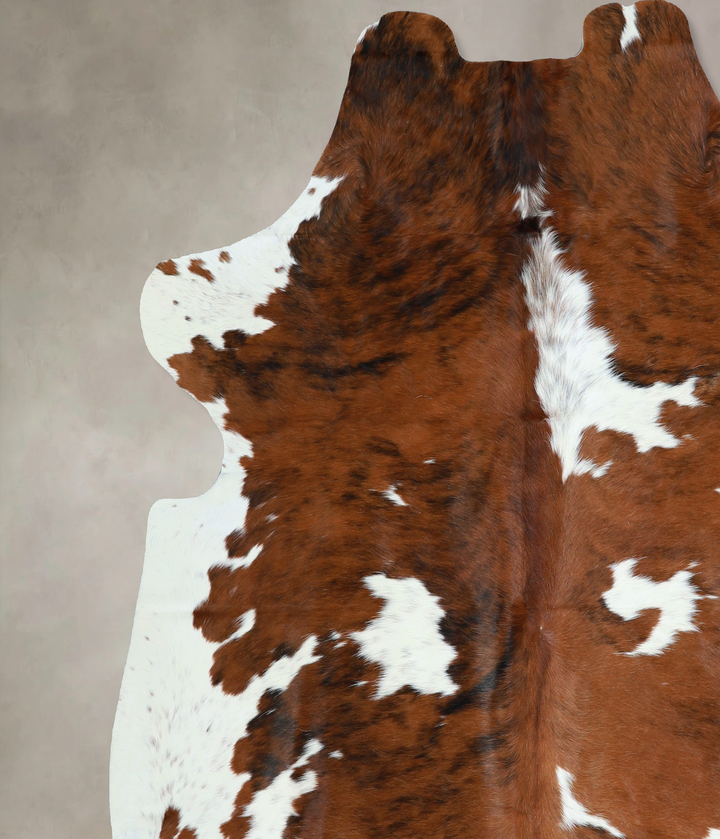 Tricolor X-Large European Cowhide Rug 6'11"H x 6'4"W #A40884 by Hudson Hides
