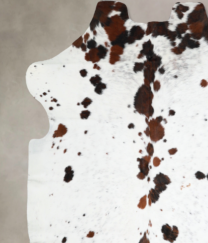 Tricolor Large European Cowhide Rug 5'11"H x 5'10"W #A40887 by Hudson Hides