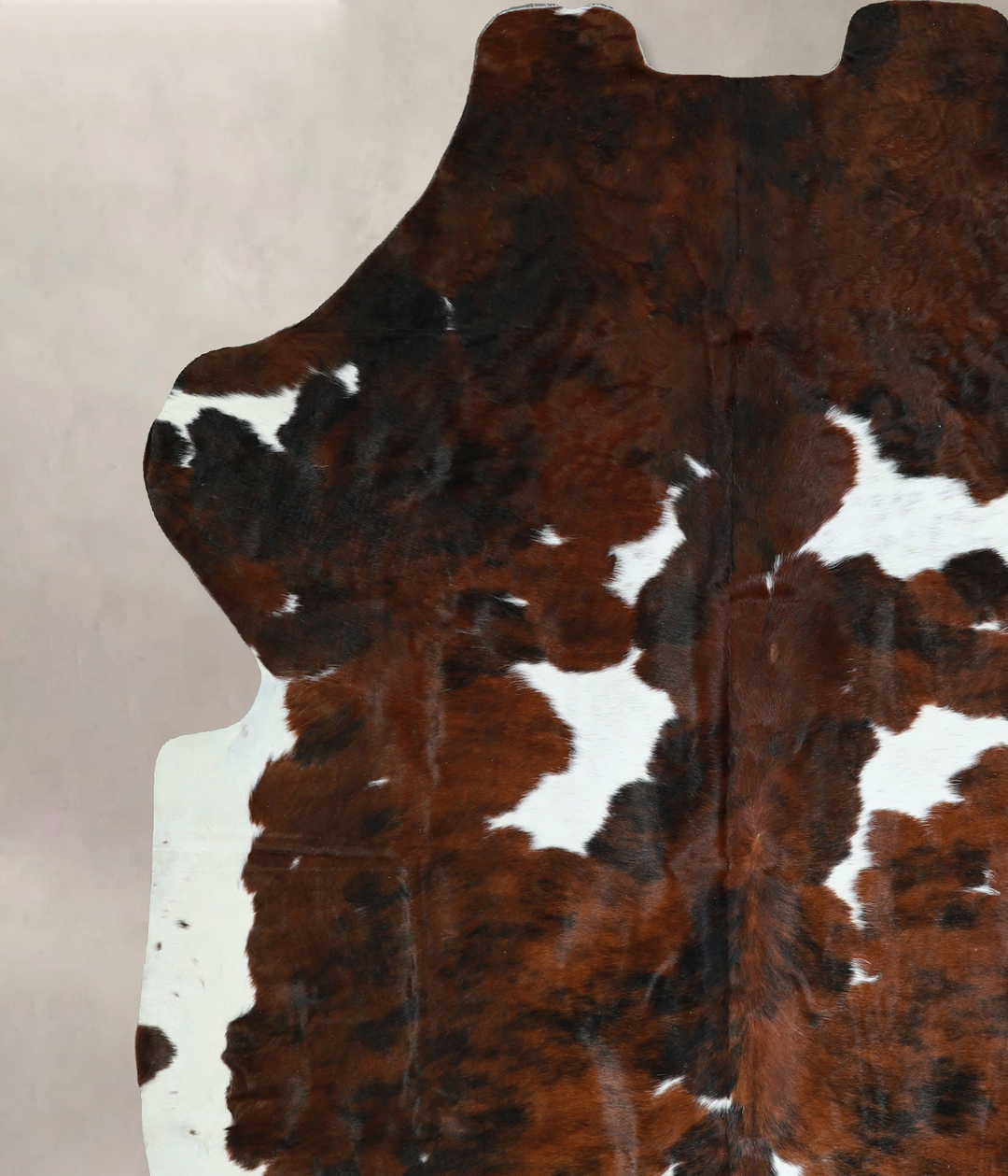 Tricolor X-Large European Cowhide Rug 7'0"H x 6'5"W #A40891 by Hudson 