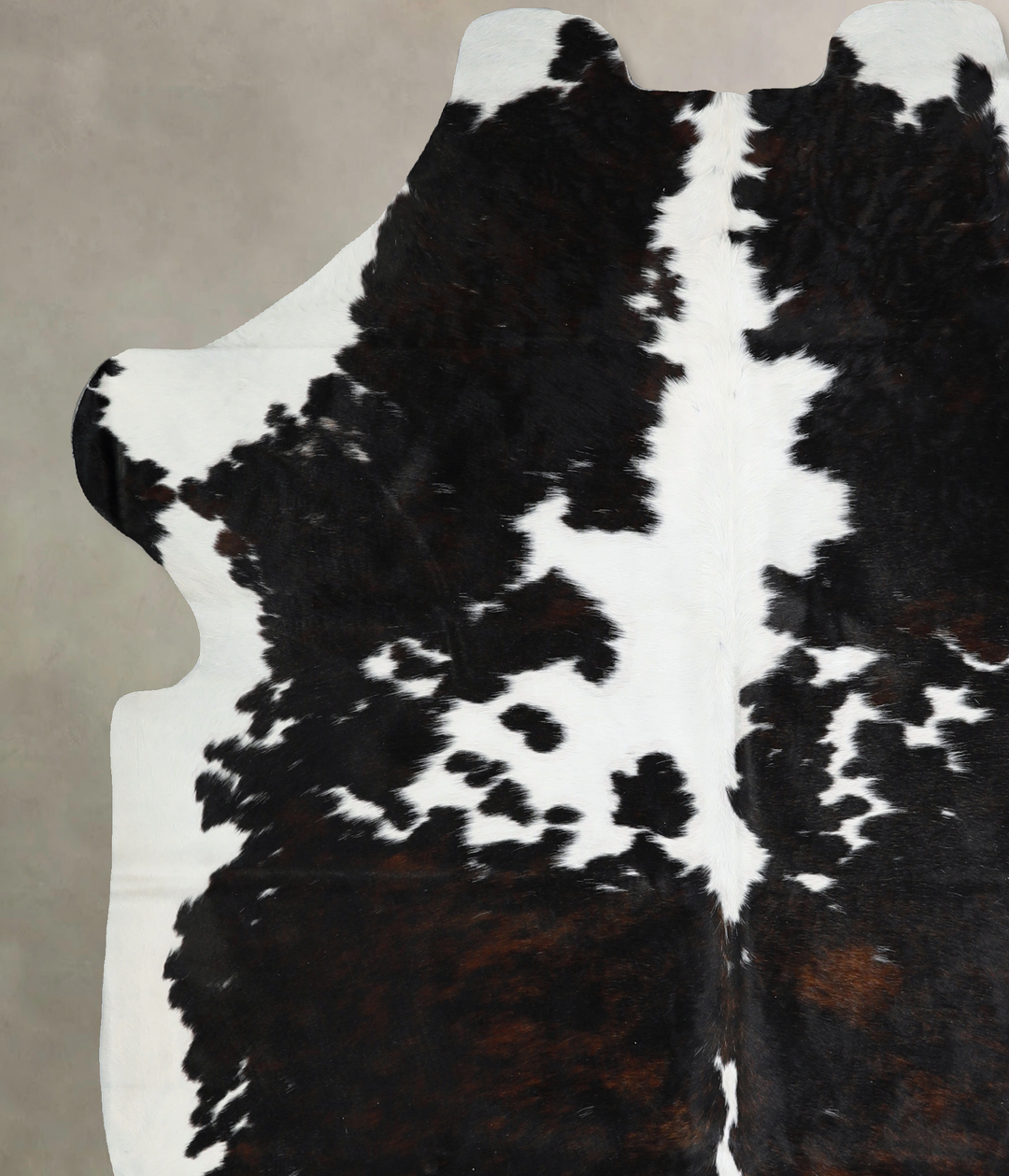 Tricolor X-Large European Cowhide Rug 7'1"H x 6'5"W #A40893 by Hudson 
