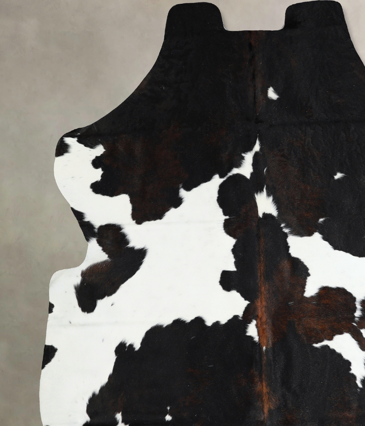Tricolor X-Large European Cowhide Rug 7'0"H x 6'3"W #A40894 by Hudson Hides