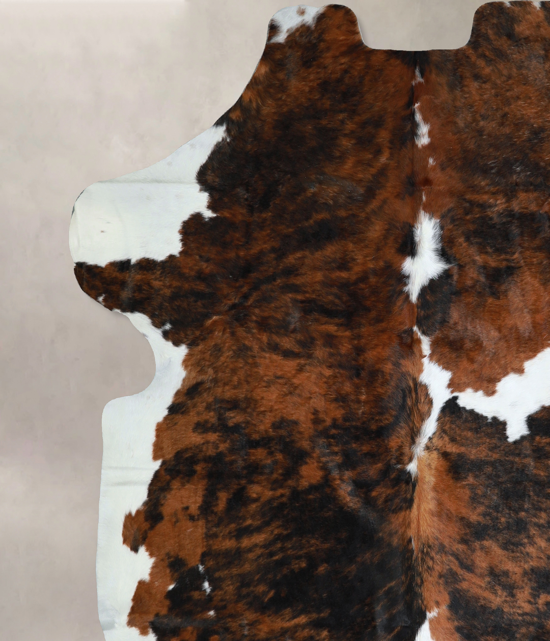 Tricolor X-Large European Cowhide Rug 7'0"H x 6'8"W #A40895 by Hudson 