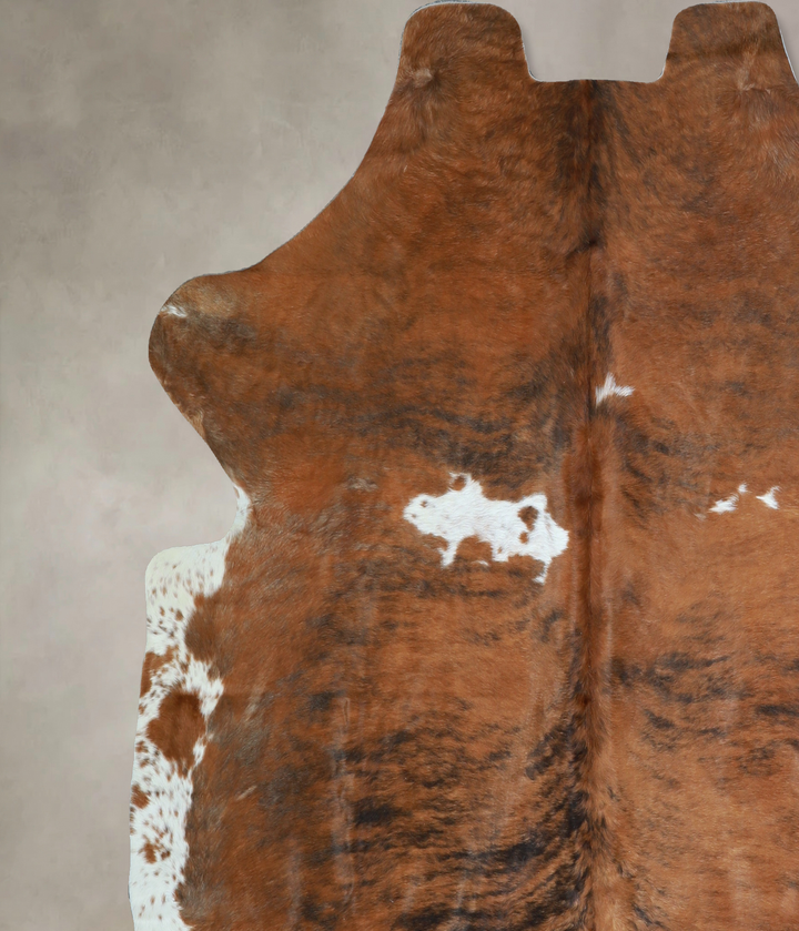 Tricolor X-Large European Cowhide Rug 6'5"H x 6'8"W #A40896 by Hudson Hides