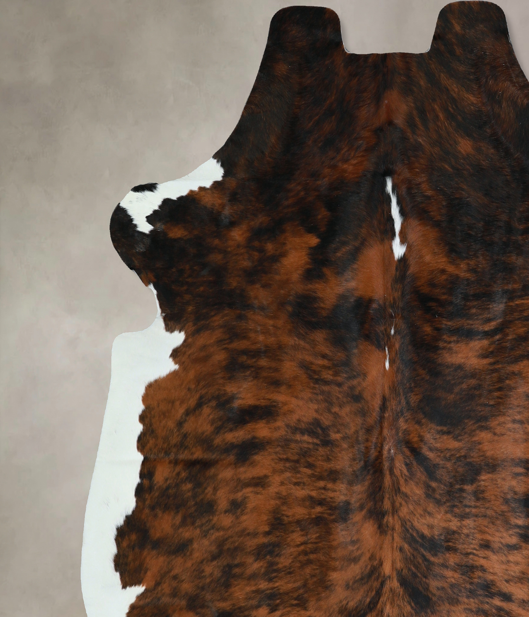 Tricolor X-Large European Cowhide Rug 6'8"H x 6'6"W #A40900 by Hudson 