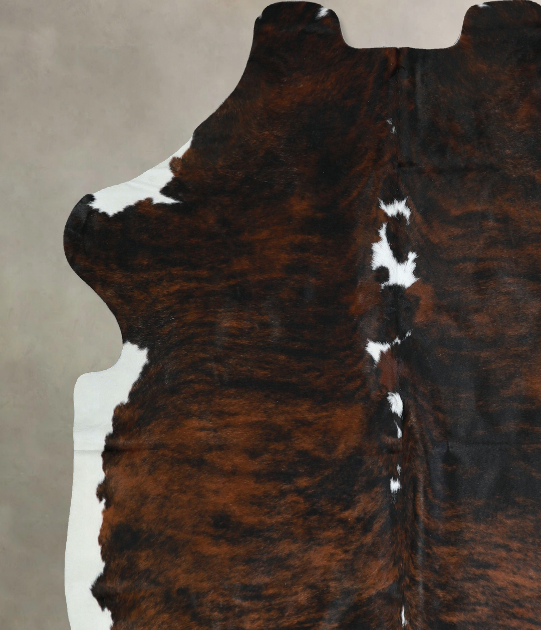 Tricolor X-Large European Cowhide Rug 6'11"H x 6'0"W #A40902 by Hudson
