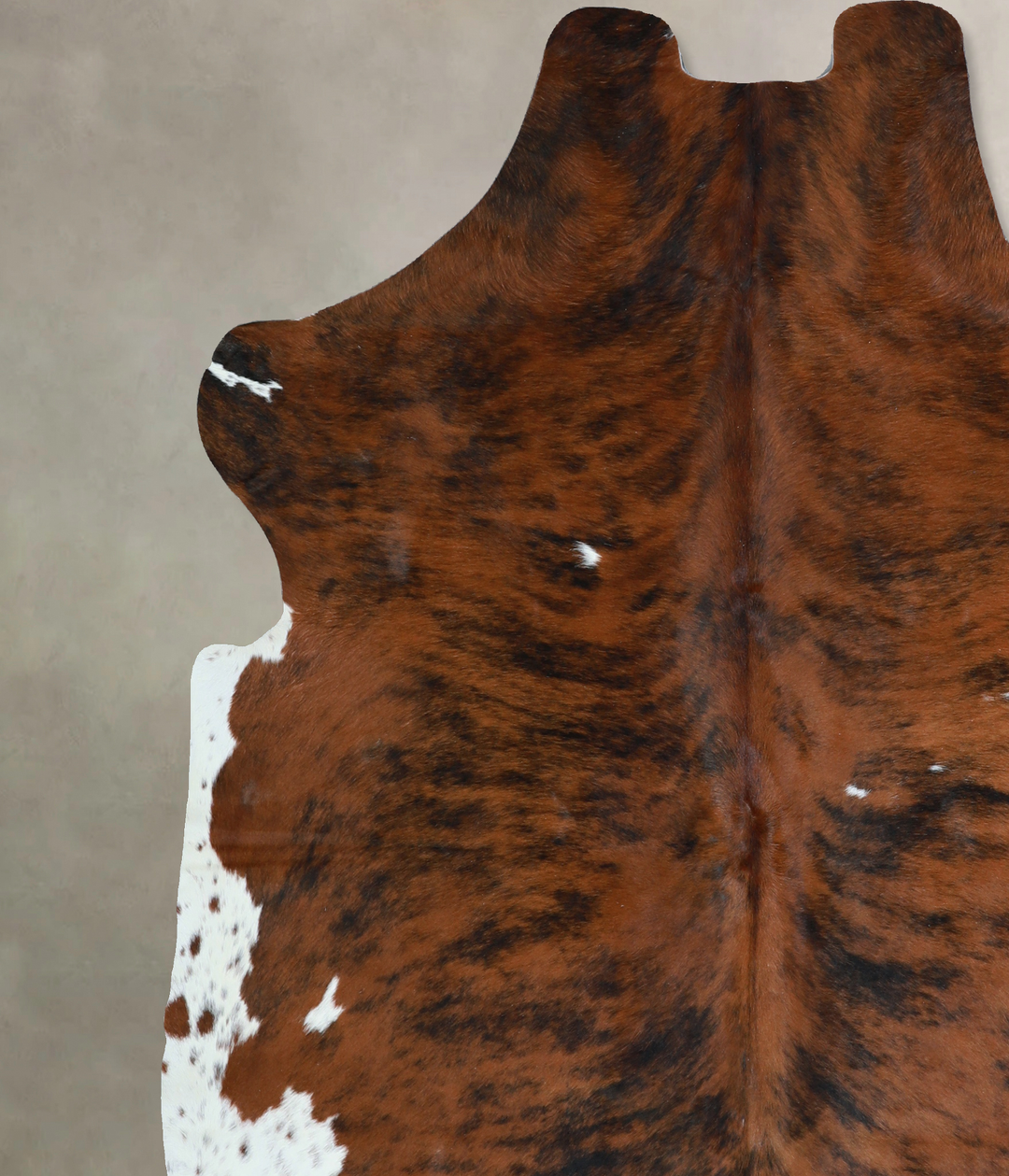 Tricolor X-Large European Cowhide Rug 6'10"H x 6'5"W #A40903 by Hudson