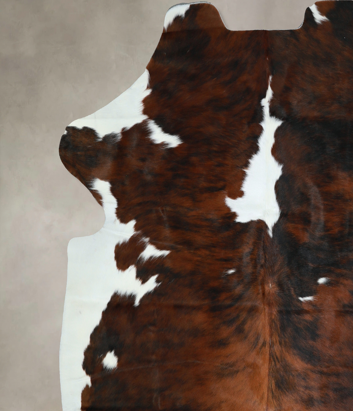 Tricolor X-Large European Cowhide Rug 6'7"H x 6'5"W #A40911 by Hudson Hides